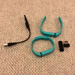 Fitbit Flex